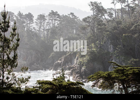 Die kalte, nährstoffreiche Wasser des Pazifischen Ozeans waschen in der wunderschönen, felsigen kalifornischen Küste südlich von Monterey Bay. Stockfoto