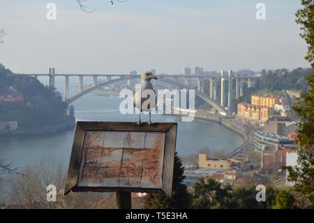 Porto - Portugal Stockfoto