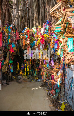 Vertikale Nahaufnahme eines Wunschbaum in Rameswaram, Indien. Stockfoto