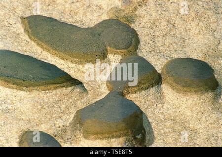 Wasser angesammelt bei Flut in den felsigen Pfütze, Gujarat, Indien, Asien Stockfoto