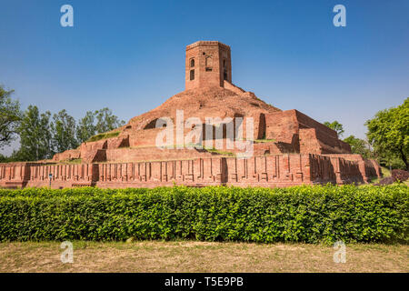 Chaukhandi buddhistische Stupa, Sarnath, Uttar Pradesh, Indien, Asien Stockfoto