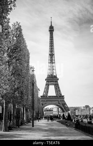 Eiffelturm, Champs de Mars gesehen Stockfoto