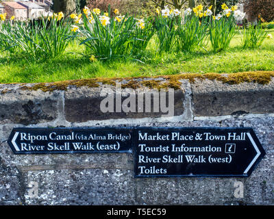 Wegweiser zu Touristenattraktionen und Frühling Narzissen in der Stadt Ripon North Yorkshire England Stockfoto