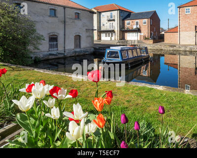 Ripon Kanal Becken im Frühjahr in der Stadt Ripon North Yorkshire England Stockfoto