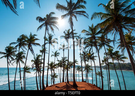 Malerische Coconut Tree Hill in Mirissa, Sri Lanka Stockfoto