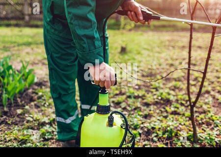 Senior Bauer Pumpen manuelle Pestizid Feldspritze gegen Insekten im Frühling Garten zu nutzen. Landwirtschaft und Gartenbau Konzept Stockfoto