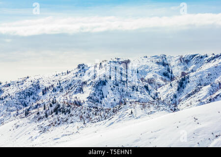 Schnee Wald im Winter. Die Schnee-bedeckten Gongnaisi Wald im Winter Stockfoto