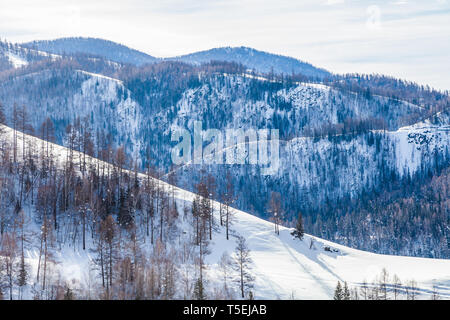 Schnee Wald im Winter. Die Schnee-bedeckten Gongnaisi Wald im Winter Stockfoto