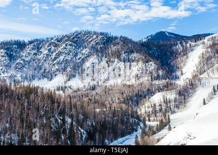 Schnee Wald im Winter. Die Schnee-bedeckten Gongnaisi Wald im Winter Stockfoto