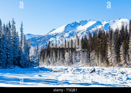 Schnee Wald im Winter. Die Schnee-bedeckten Gongnaisi Wald im Winter Stockfoto