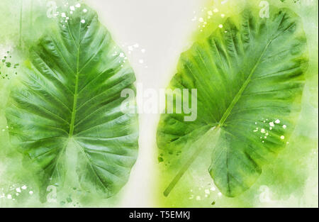 Arbor Day Konzept Digital verbesserte Bild von zwei großen alocasia Blätter der Pflanze. Eine tropische Zimmerpflanze Stockfoto