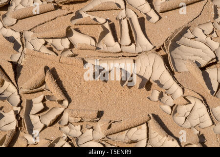 Umweltkonzept, Wasserknappheit und Dürre geknackt Dry Mud fotografiert in der Negev-Wüste, Israel Stockfoto