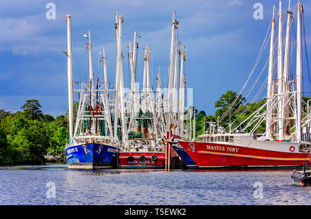 Krabbenfänger, einschließlich Mississippi IV, Santa Maria IV, und Meister Tony, werden entlang der Bank im Bayou La Batre, Alabama angedockt. Stockfoto