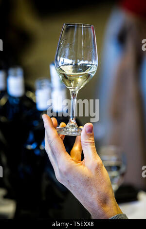 Abbildung, blinden Weinprobe Contest: Mann hält ein Glas Weisswein für eine Sichtprüfung Stockfoto