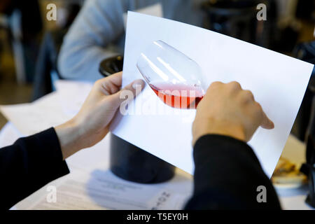 Abbildung, blinden Weinprobe Contest: Mann hält ein Glas Weisswein vor einem weißen Blatt für eine Sichtprüfung Stockfoto