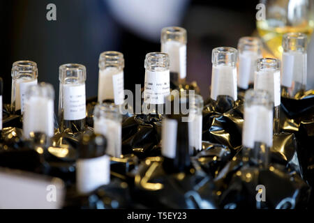 Abbildung, blinden Weinprobe Contest: Flaschen Wein mit einem schwarzen Mantel um das Label zu verbergen Stockfoto