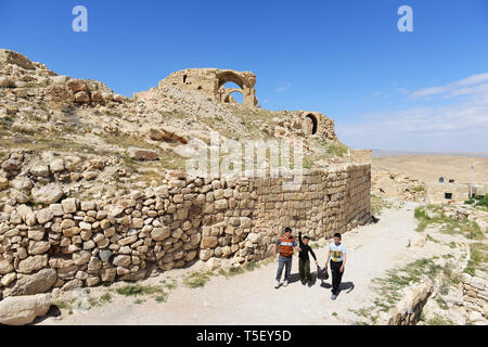 Montreal Crusader Castle in Shoubak, Jordanien. Stockfoto