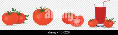 Tomaten. Detaillierte realistische rote reife frische Tomaten mit grünen Blättern mit Wassertropfen auf transparentem Hintergrund isoliert. Vector3d Stock Vektor