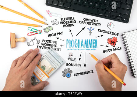Programmierer Beruf und Karriere Chancen. Diagramm mit Stichworten und Symbole Stockfoto