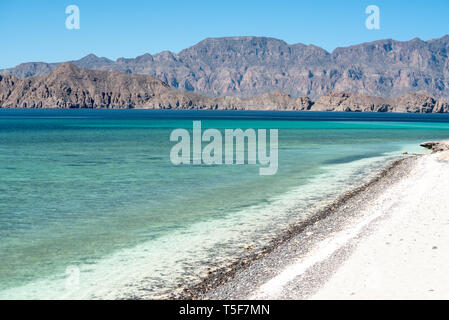 Ufer der Isla Carmen, Bucht von Loreto Nat. Park, Baja California Sur, Mexiko Stockfoto