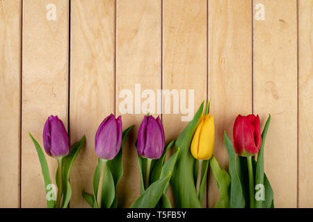 Tulpe Blume auf einem Holztisch. Bunte Blumen auf dem Tisch arrangiert. Hellen Hintergrund. Stockfoto