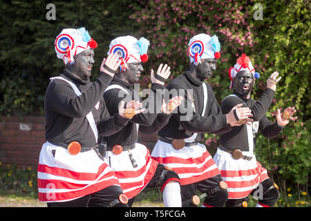 © Chris Bull. 20/04/19 Bacup, Lancashire, England. Die Morrismen der Britannia Coconutters Tanz Grenze Grenze in Bacup, Lancashire heute (Samstag, 20. April 2019). In einer Tradition zurückgehende Hunderte Jahre, jeden Ostersamstag Der morrismen haben heidnische Tänze Frühling zu begrüßen und böse Winter Spirituosen. Die Coconutters Namen aus der Zeit, als Bergleute würde Kokosnussschalen auf die Knie tragen zum Schutz in den Gruben stammt. Unterlegen Sie ihre Gesichter sie von bösen Geistern zu tarnen und auch der Bergbau Traditionen der Gegend zu reflektieren. Stockfoto