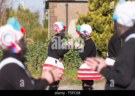 © Chris Bull. 20/04/19 Bacup, Lancashire, England. Die Morrismen der Britannia Coconutters Tanz Grenze Grenze in Bacup, Lancashire heute (Samstag, 20. April 2019). In einer Tradition zurückgehende Hunderte Jahre, jeden Ostersamstag Der morrismen haben heidnische Tänze Frühling zu begrüßen und böse Winter Spirituosen. Die Coconutters Namen aus der Zeit, als Bergleute würde Kokosnussschalen auf die Knie tragen zum Schutz in den Gruben stammt. Unterlegen Sie ihre Gesichter sie von bösen Geistern zu tarnen und auch der Bergbau Traditionen der Gegend zu reflektieren. Stockfoto