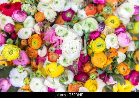 Blumengeschäft. Blumenstrauß aus bunten Blumen Stockfoto