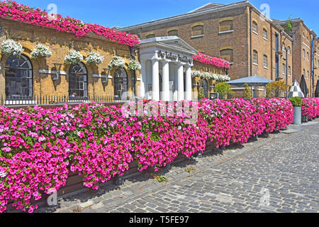 West India Quay Canary Wharf London street scene Petunia Blumen an historischen Wetherspoons Ledger Building London Pub Restaurant business England Großbritannien Stockfoto