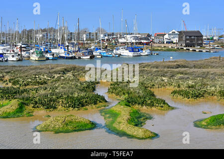 Flusslandschaft der Boote & Yachten in der Marina Liegeplatz am Küstenort Tollesbury auf dem Fluss Blackwater Salzwiesen & schlammigen Bäche Essex England Großbritannien Stockfoto