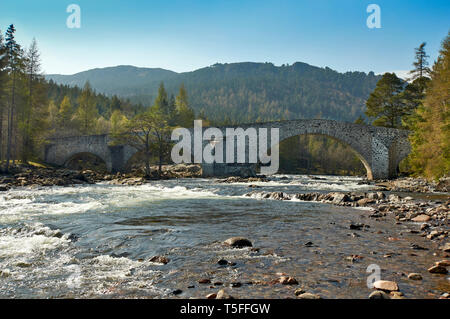 INVERCAULD BRÜCKE oder Brig O' DEE ABERDEENSHIRE SCHOTTLAND DIE LANDSCHAFT UND DEN FLUSS DEE IM FRÜHJAHR Stockfoto