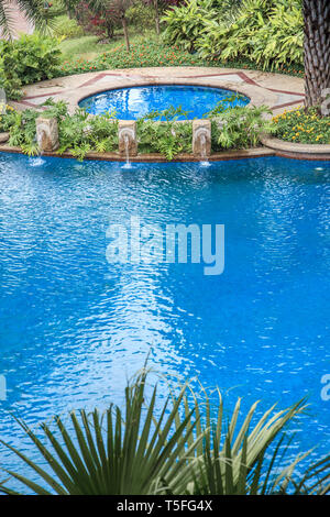 Swimmingpool, der von Palmen und üppigem immergrünen in einem tropischen Pflanzen Garten umgeben Stockfoto