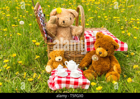 Teddybär Picknick in üppig grüne Wiese mit gelben Blumen. Traditionelle Weidenkorb und rot kariertem Tischtuch. Horizontale. Konzept: die Kindheit Stockfoto