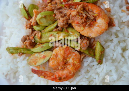 Spicy fried stinken Bean mit Garnele auf Reis rühren Stockfoto