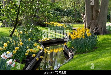 Osterglocken und Narzissen neben dem Wasser bei Keukenhof Lisse, Südholland, Niederlande. Keukenhof ist wie der Garten Europas bekannt. Stockfoto