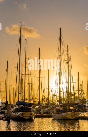 Yachten bei Sonnenuntergang am Ala Wai kleines Boot Hafen in Honolulu, Hawaii Stockfoto