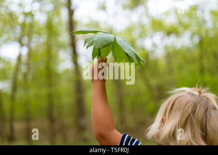 Junges Mädchen mit einem großen Blatt im Wald Stockfoto