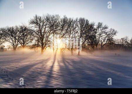 Deutschland, Landshut, neblige Landschaft im Winter bei Sonnenaufgang Stockfoto