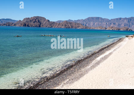 Kajakfahren auf dem Meer, die Bucht von Loreto Nationalpark, Baja California Sur, Mexiko. Stockfoto