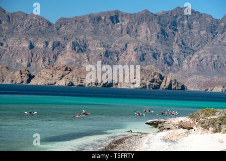 Kajakfahren auf dem Meer, die Bucht von Loreto Nationalpark, Baja California Sur, Mexiko. Stockfoto