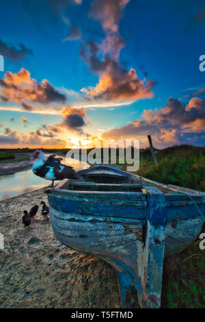 Dramatischer Sonnenuntergang mit Boote und Enten in den Naturpark Salinas de Carboneros, in Chiclana de la Frontera, eine touristische Stadt in der Provinz Cadiz, S Stockfoto