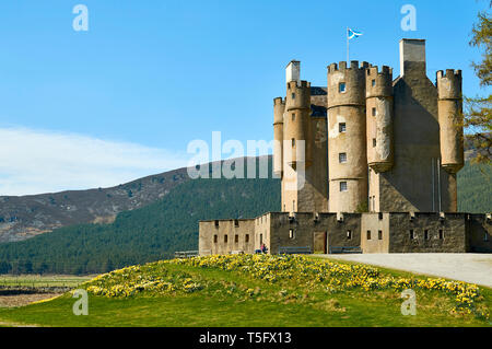 BRAEMAR ABERDEENSHIRE SCOTLAND BRAEMAR CASTLE mit Berg- und Narzissen im Frühling Stockfoto