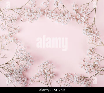 In hellen Pastelltönen rosa Hintergrund mit weißen Blumen. Stockfoto