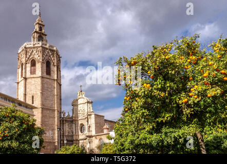 Valencia Spanien, El Miguelet Tower, Kathedrale von Valencia von der Plaza de la Reina Orangen-Baum von Valencia, Spanien Europa Stockfoto