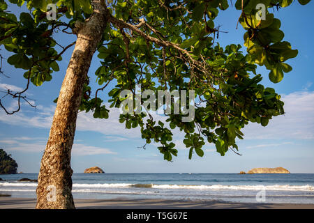 Tropische Aussicht auf die Küste von espadilla Norte Strand, Manuel Antonio, Quepos, Costa Rica Stockfoto