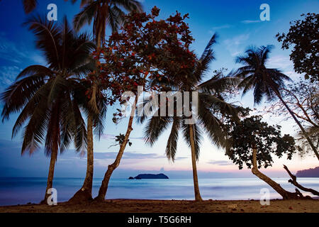 Sonnenuntergang über den Palmen am Strand Espadilla Norte, Manuel Antonio, Quepos, Costa Rica Stockfoto