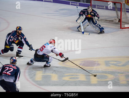 24 April 2019, Bayern, München: Eishockey: DEL, EHC Red Bull München - Adler Mannheim, Meisterschaft, final, 4. Spieltag, Olympia Eisstadion. Daryl Boyle von Red Bull München und Mark Katic der Adler Mannheim Kampf um den Puck Foto: Lino Mirgeler/dpa Stockfoto