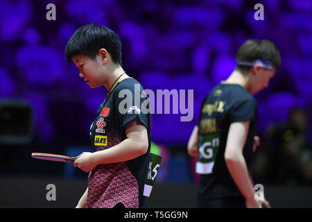 Budapest, Ungarn. 24 Apr, 2019. Sun Yingsha (L)/Wang Manyu von China Reagieren während der Frauen verdoppelt die Runde der letzten 16 gegen Dora Madarasz/Szandra Pergel von Ungarn 2019 ITTF World Tischtennis-WM in Budapest, Ungarn, 24. April 2019. Sun Yingsha/Wang Manyu gewann 4-1. Credit: Tao Xiyi/Xinhua/Alamy leben Nachrichten Stockfoto
