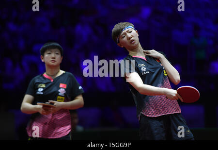 Budapest, Ungarn. 24 Apr, 2019. Sun Yingsha/Wang Manyu (R) von China Reagieren während der Frauen verdoppelt die Runde der letzten 16 gegen Dora Madarasz/Szandra Pergel von Ungarn 2019 ITTF World Tischtennis-WM in Budapest, Ungarn, 24. April 2019. Sun Yingsha/Wang Manyu gewann 4-1. Credit: Tao Xiyi/Xinhua/Alamy leben Nachrichten Stockfoto