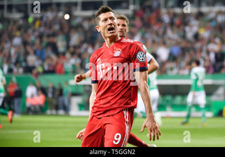 Bremen, Deutschland. 24 Apr, 2019. Bayern München Robert Lewandowski feiert seinen zweiten zählen während ein Halbfinale der Deutschen Cup zwischen dem SV Werder Bremen und dem FC Bayern München in Bremen, Deutschland, am 24. April 2019. Bayern München gewann 3-2 und erweiterte in die Endrunde. Credit: Kevin Voigt/Xinhua/Alamy leben Nachrichten Stockfoto